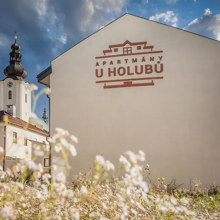 U Holubu