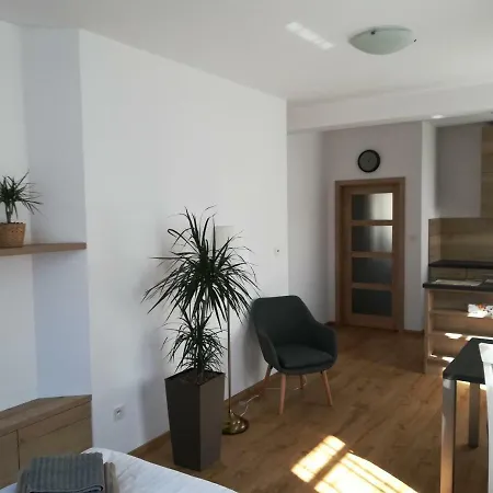 U Holubu Apartment